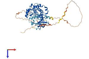 AlphaFold protein structure predicition of Human Recombinant RPS6KB2 Protein, UniprotID Q9UBS0