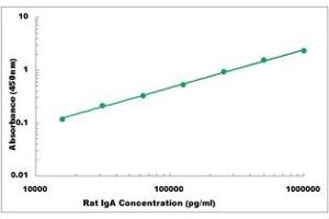 Representative Standard Curve (IgA Kit ELISA)
