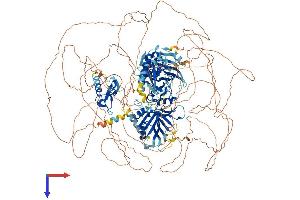 AlphaFold protein structure predicition of Human Recombinant ZFYVE16 Protein, UniprotID Q7Z3T8