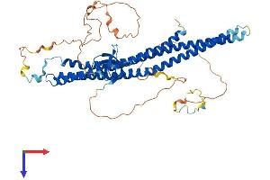 AlphaFold protein structure predicition of Mouse Recombinant Baiap2l1 Protein, UniprotID Q9DBJ3