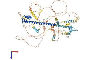 AlphaFold protein structure predicition of Mouse Recombinant Nfe2l1 Protein, UniprotID Q61985