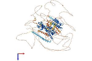 AlphaFold protein structure predicition of Human Recombinant BRD8 Protein, UniprotID Q9H0E9