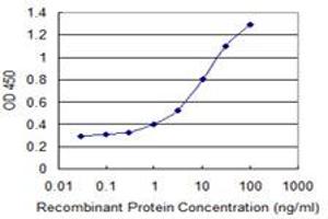 Detection limit for recombinant GST tagged OMP is 0.