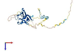 AlphaFold protein structure predicition of Mouse Recombinant Mvb12b Protein, UniprotID Q6KAU4