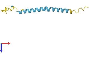 AlphaFold protein structure predicition of Human Recombinant PRNP Protein, UniprotID F7VJQ1