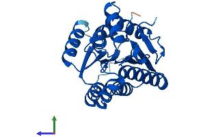 AlphaFold protein structure predicition of Human Recombinant SPR Protein, UniprotID P35270