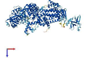 AlphaFold protein structure predicition of Mouse Recombinant Lars1 Protein, UniprotID Q8BMJ2