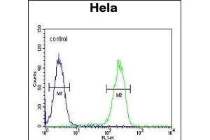 UBA52 Antibody (C-Term) (ABIN654135 and ABIN2844007) flow cytometric analysis of Hela cells (right histogram) compared to a negative control cell (left histogram).