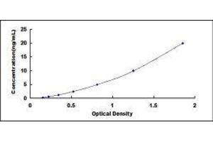 Typical standard curve
