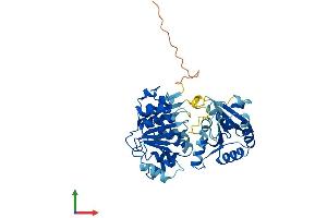AlphaFold protein structure predicition of Mouse Recombinant Eif4a2 Protein, UniprotID P10630
