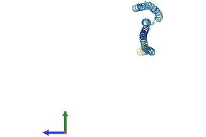AlphaFold protein structure predicition of Mouse Recombinant Gosr2 Protein, UniprotID O35166