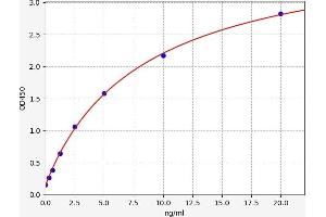 Typical standard curve (AMBP Kit ELISA)
