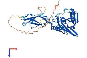 AlphaFold protein structure predicition of Human Recombinant PHYHIPL Protein, UniprotID Q96FC7