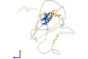 AlphaFold protein structure predicition of Human Recombinant SOX8 Protein, UniprotID P57073