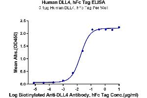 Immobilized Human DLL4, hFc Tag at 1 μg/mL (100 μL/Well) on the plate.