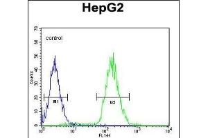 Cdc14 Antibody (ABIN652436 and ABIN2842275) flow cytometric analysis of HepG2 cells (right histogram) compared to a negative control cell (left histogram). (CDC14A anticorps)