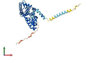 AlphaFold protein structure predicition of Human Recombinant GDAP1 Protein, UniprotID Q8TB36