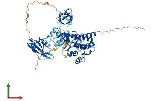 AlphaFold protein structure predicition of Human Recombinant MATK Protein, UniprotID P42679