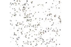 Immunocytochemistry (ICC) image for anti-CD34 (CD34) (AA 33-290) antibody (ABIN7453960) (Recombinant CD34 anticorps  (AA 33-290))