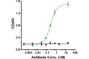 Immobilized human PD-L1 FC at 2 μg/mL can bind Anti-TGFb1 Reference Antibody (M7824), EC50=0.