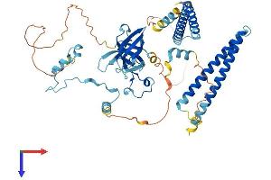 AlphaFold protein structure predicition of Human Recombinant ZGPAT Protein, UniprotID Q8N5A5