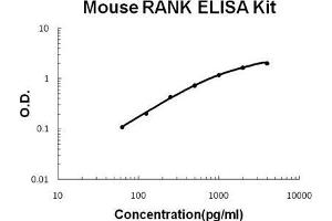 Mouse RANK PicoKine ELISA Kit standard curve (TNFRSF11A Kit ELISA)