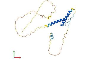 AlphaFold protein structure predicition of Mouse Recombinant Hand1 Protein, UniprotID Q64279