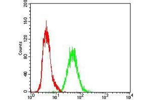 Flow cytometric analysis of A431 cells using RAP1GAP mouse mAb (green) and negative control (red).