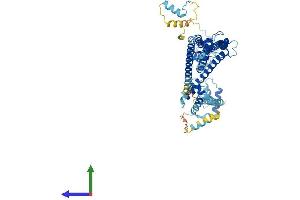 AlphaFold protein structure predicition of Mouse Recombinant Dnajc2 Protein, UniprotID P54103