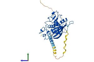 AlphaFold protein structure predicition of Human Recombinant B4GALT7 Protein, UniprotID Q9UBV7