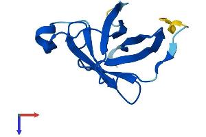 AlphaFold protein structure predicition of Human Recombinant TCL1A Protein, UniprotID P56279