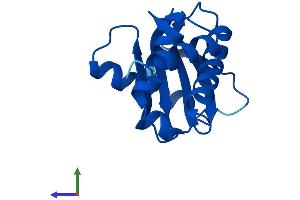 AlphaFold protein structure predicition of Mouse Recombinant Ap2s1 Protein, UniprotID P62743