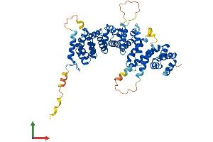 AlphaFold protein structure predicition of Human Recombinant SAAL1 Protein, UniprotID Q96ER3