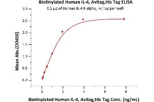 Immobilized Human IL-4 R alpha, Fc Tag (ABIN6731257,ABIN6809937) at 5 μg/mL (100 μL/well)can bind Biotinylated Human IL-4, Avitag,His Tag (ABIN3137668,ABIN5674029) with a linear range of 0. (IL-4 Protein (AA 25-153) (His tag,AVI tag,Biotin))