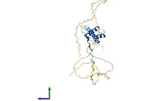 AlphaFold protein structure predicition of Human Recombinant CRX Protein, UniprotID O43186