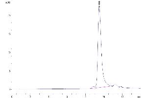 The purity of Mouse SEMA3A is greater than 95 % as determined by SEC-HPLC.