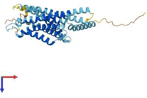 AlphaFold protein structure predicition of Mouse Recombinant Gpbar1 Protein, UniprotID Q80SS6