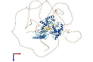 AlphaFold protein structure predicition of Human Recombinant TTF1 Protein, UniprotID Q15361
