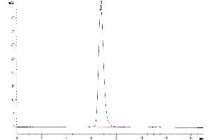 The purity of Human Her4 is greater than 95 % as determined by SEC-HPLC.