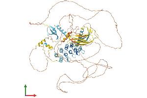 AlphaFold protein structure predicition of Human Recombinant MPHOSPH8 Protein, UniprotID Q99549
