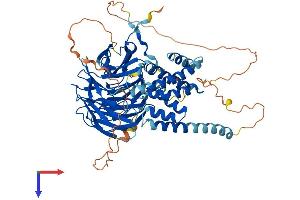 AlphaFold protein structure predicition of Mouse Recombinant Katnb1 Protein, UniprotID Q8BG40