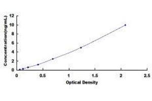 ELISA image for Proteolipid Protein 2 (PLP2) ELISA Kit (ABIN422085)
