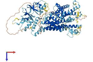 AlphaFold protein structure predicition of Mouse Recombinant Clcn3 Protein, UniprotID P51791