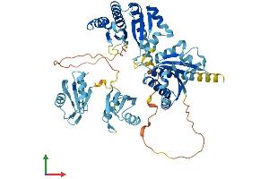 AlphaFold protein structure predicition of Mouse Recombinant Igf2bp1 Protein, UniprotID O88477