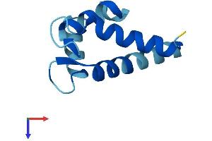 AlphaFold protein structure predicition of Human Recombinant S100A6 Protein, UniprotID P06703
