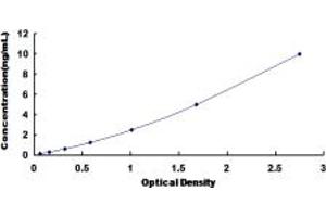 Typical standard curve (CDKN3 Kit ELISA)