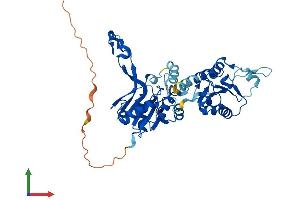 AlphaFold protein structure predicition of Human Recombinant CMAS Protein, UniprotID Q8NFW8