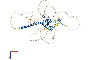 AlphaFold protein structure predicition of Mouse Recombinant Sox13 Protein, UniprotID Q04891