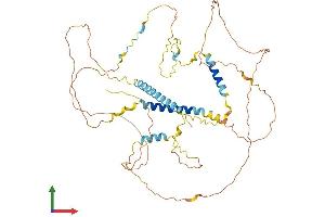 AlphaFold protein structure predicition of Human Recombinant LAD1 Protein, UniprotID O00515