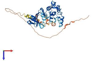 AlphaFold protein structure predicition of Mouse Recombinant Camk1d Protein, UniprotID Q8BW96